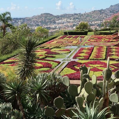 Madeira - Botanischer Garten